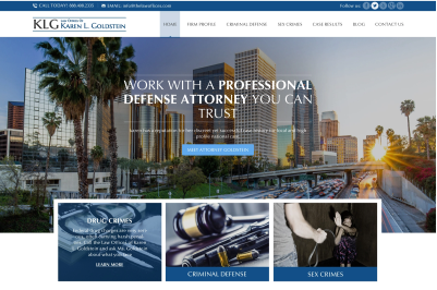Karen L. Goldstein Advocacy